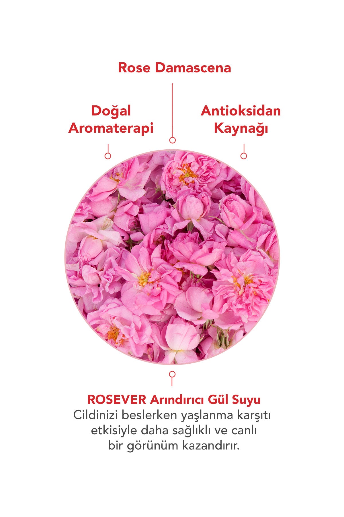 Saf Arındırıcı Gül Suyu 120 ML